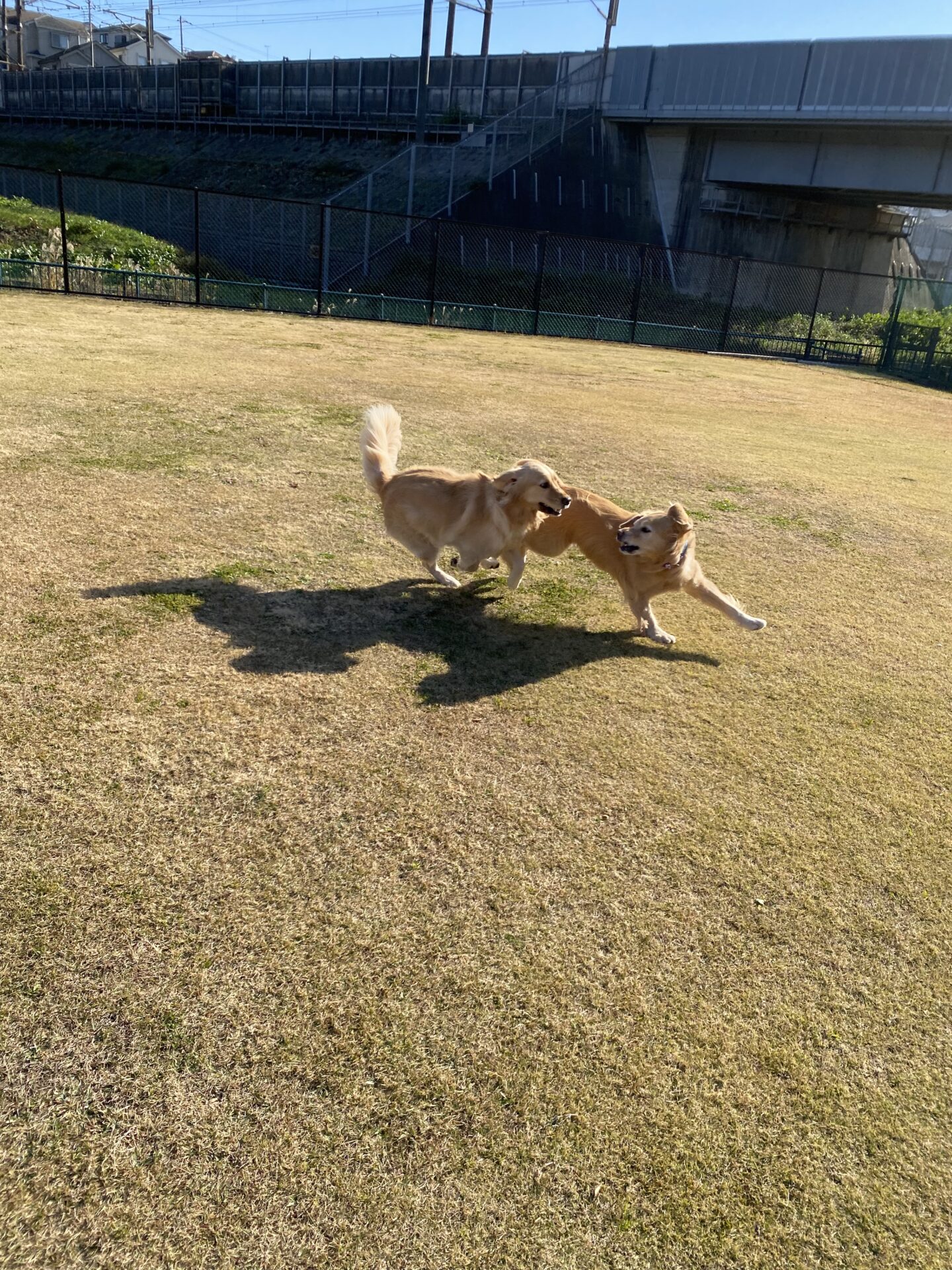 ファイル 8689-2.jpeg