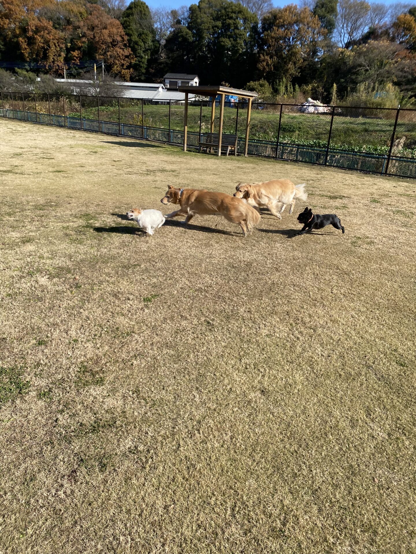 ファイル 8689-4.jpeg