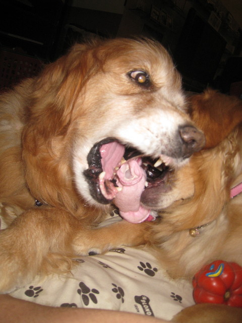 ファイル 869-1.jpg