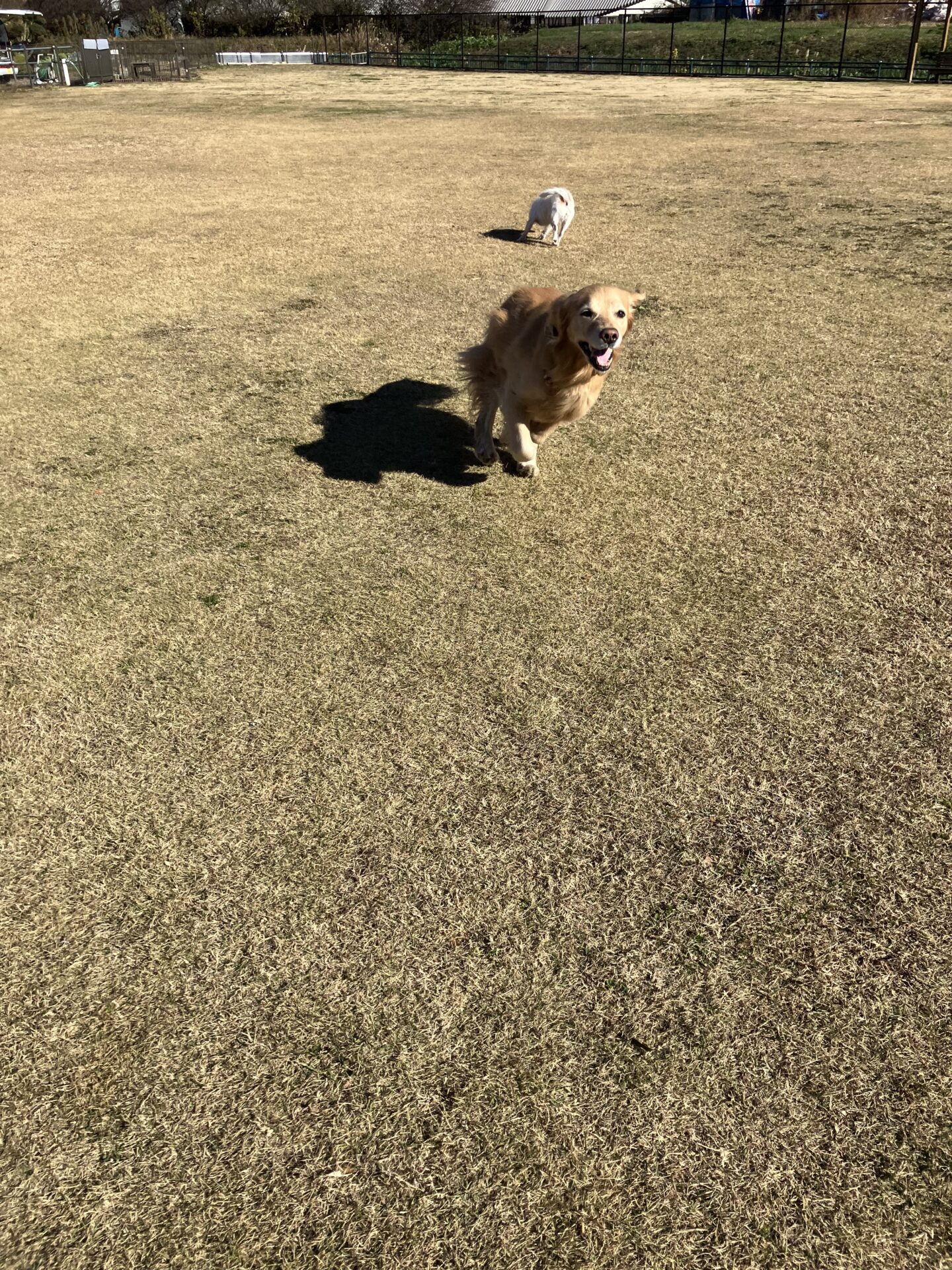 ファイル 8690-1.jpeg