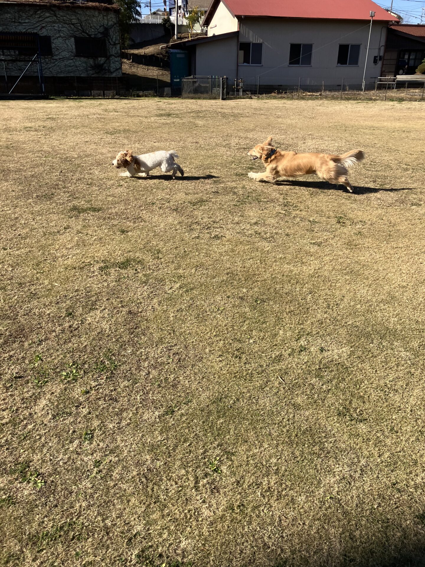 ファイル 8690-3.jpeg