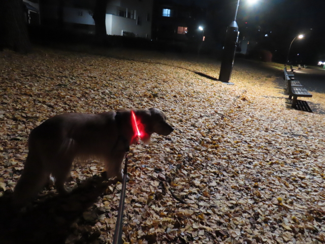 ファイル 8691-2.jpg