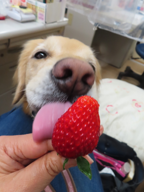 ファイル 8694-3.jpg