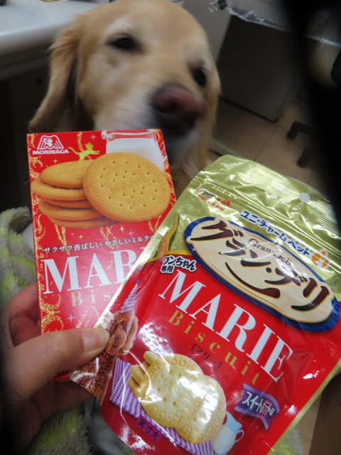 ファイル 8694-4.jpg