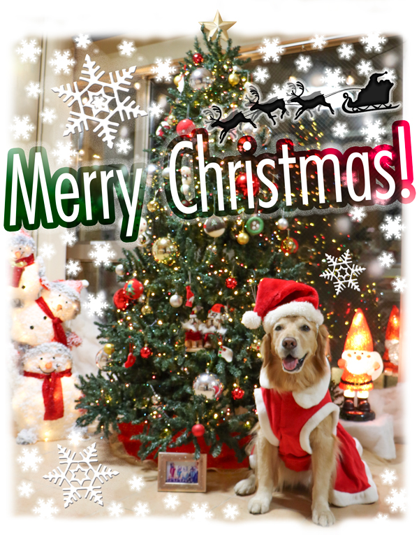 ファイル 8698-1.jpg