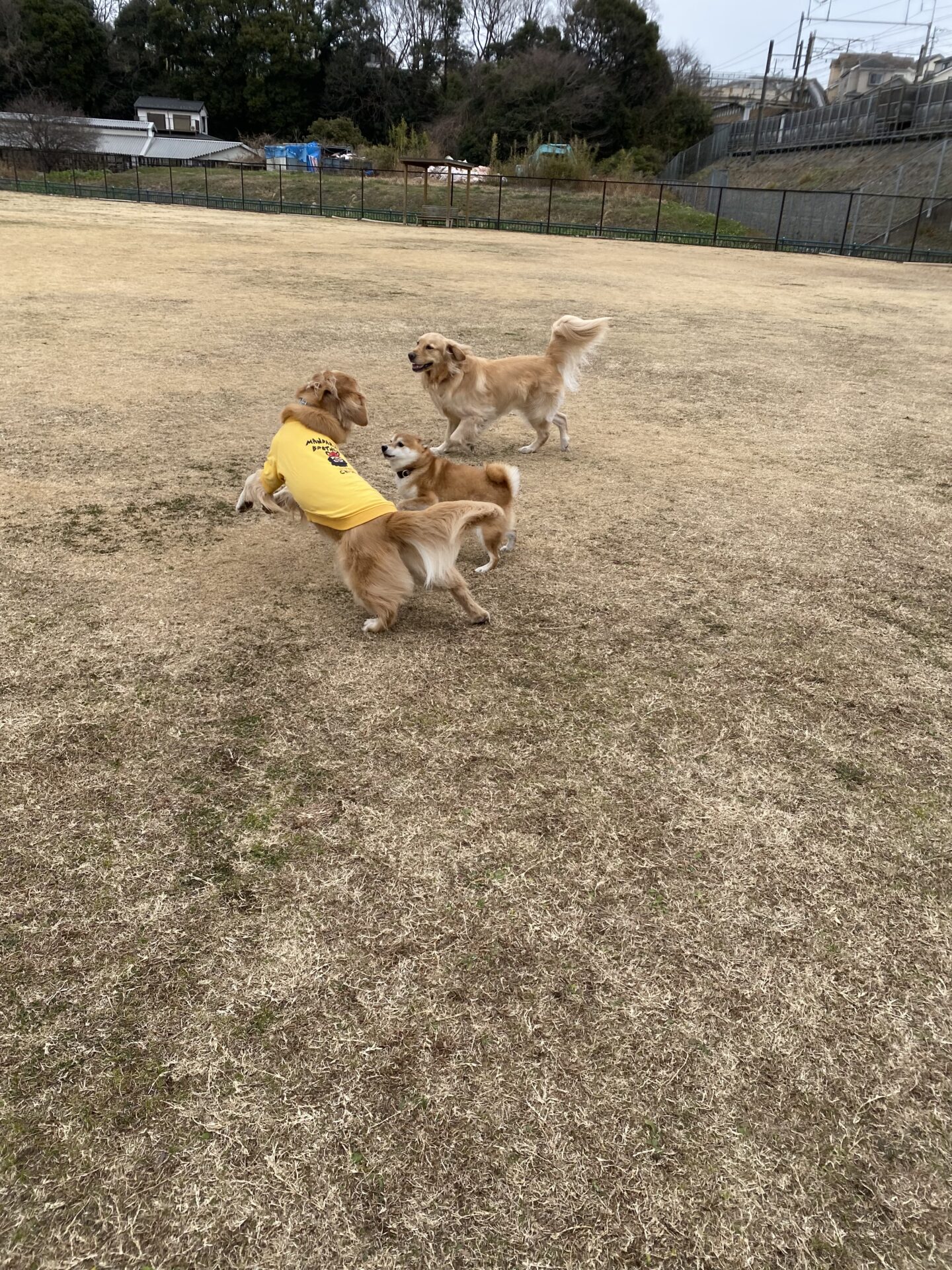 ファイル 8700-3.jpeg