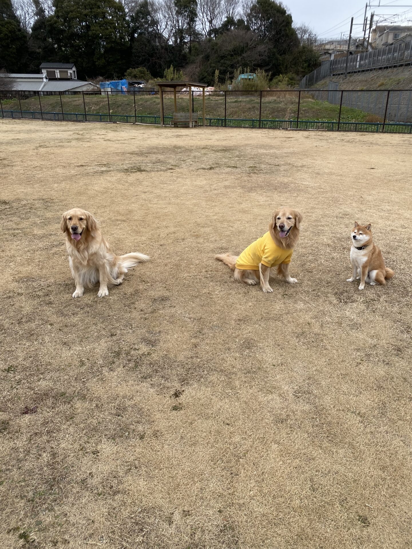 ファイル 8700-5.jpeg