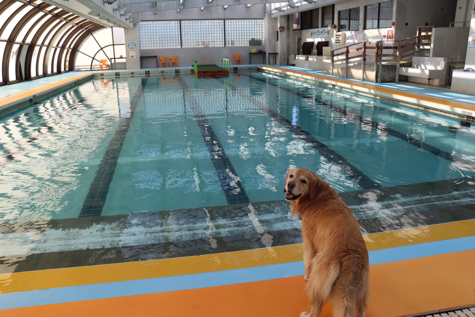 ファイル 8702-2.jpg