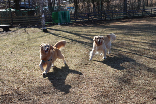 ファイル 8702-3.jpg