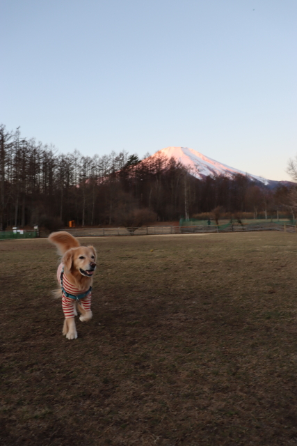 ファイル 8702-4.jpg