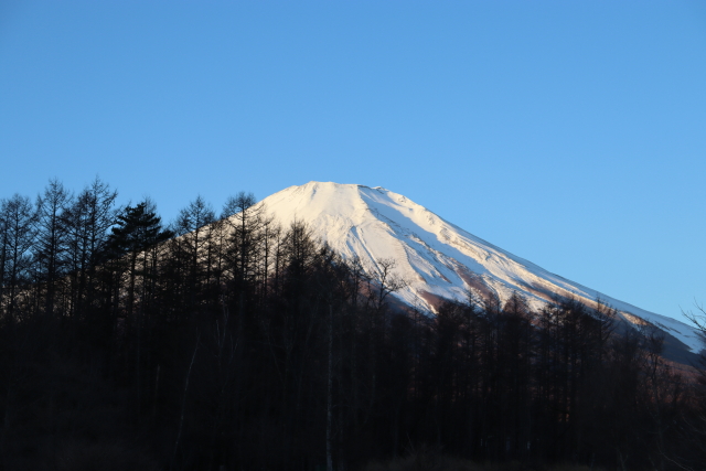 ファイル 8702-5.jpg