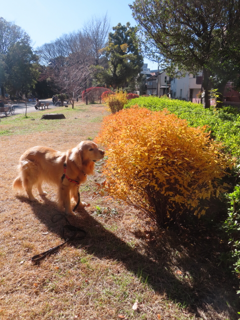 ファイル 8703-1.jpg