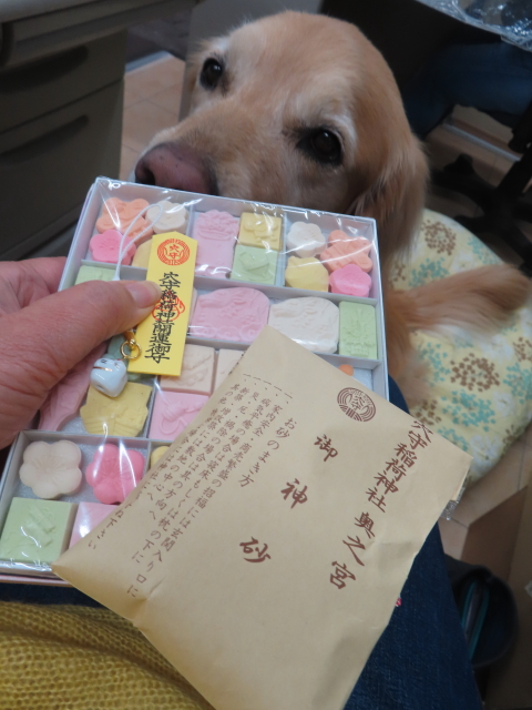 ファイル 8703-2.jpg