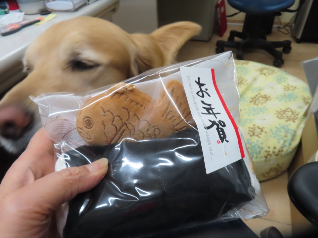 ファイル 8703-4.jpg