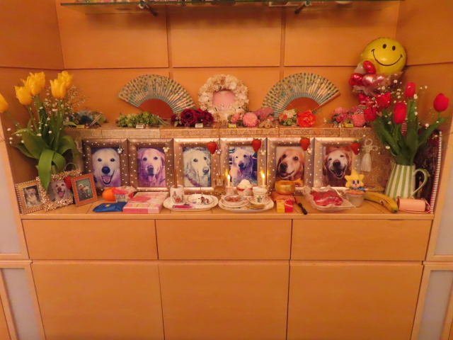 ファイル 8704-1.jpg