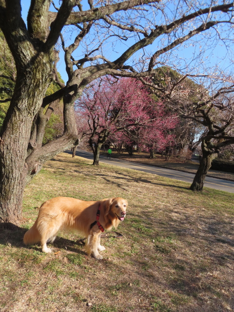 ファイル 8704-2.jpg