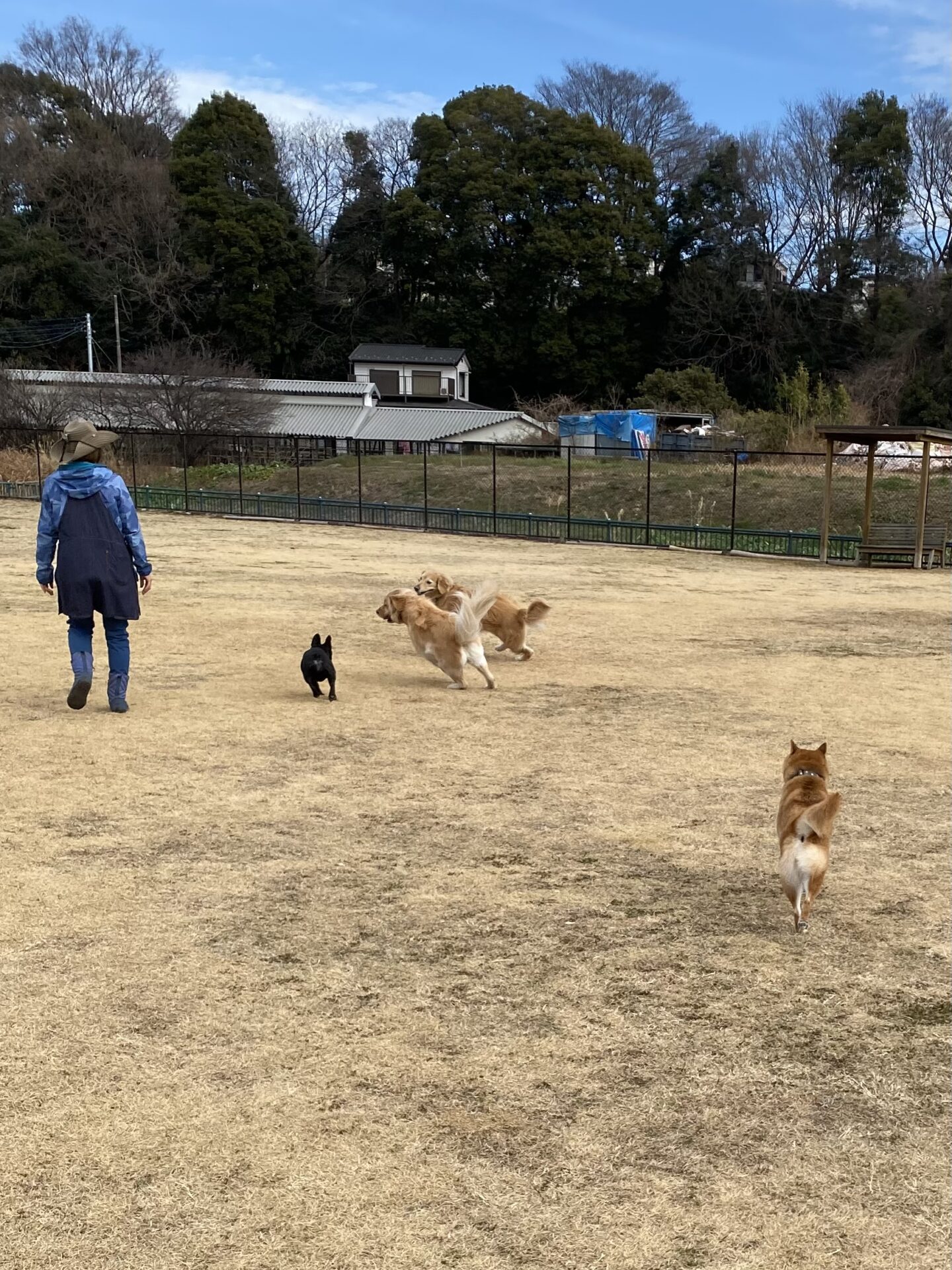 ファイル 8705-2.jpeg