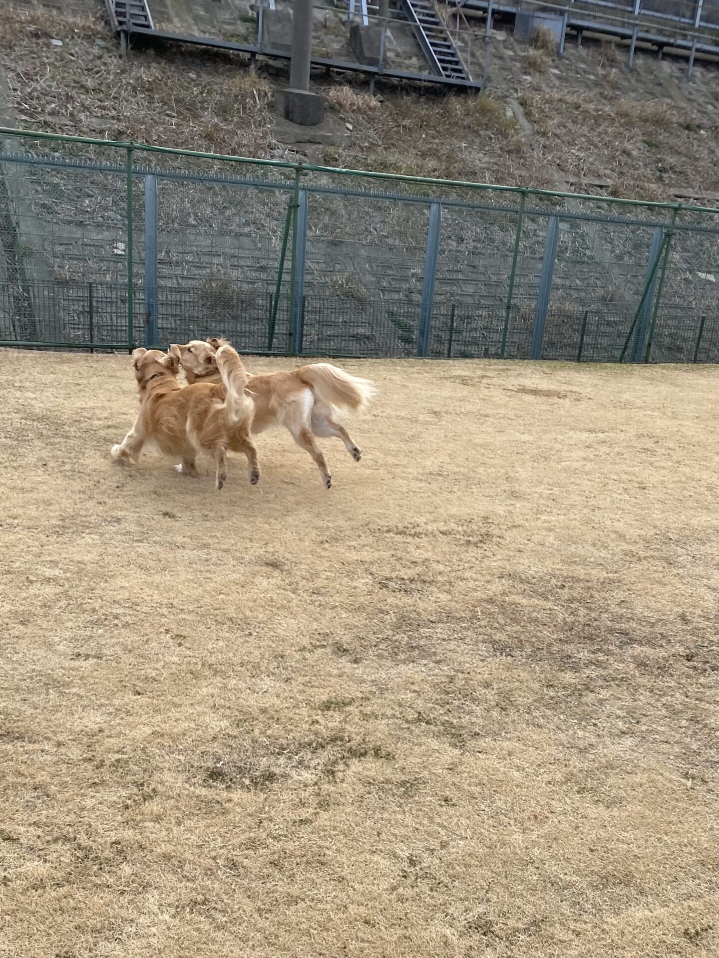 ファイル 8705-3.jpeg