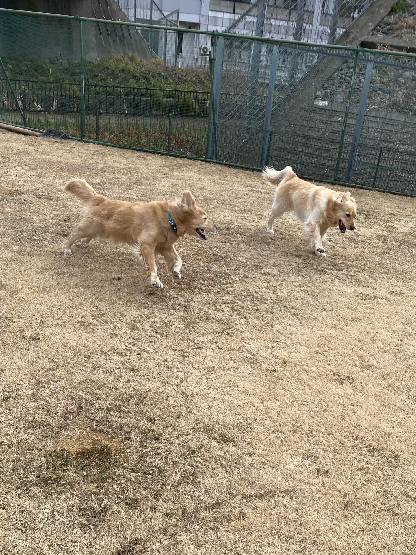 ファイル 8705-4.jpeg