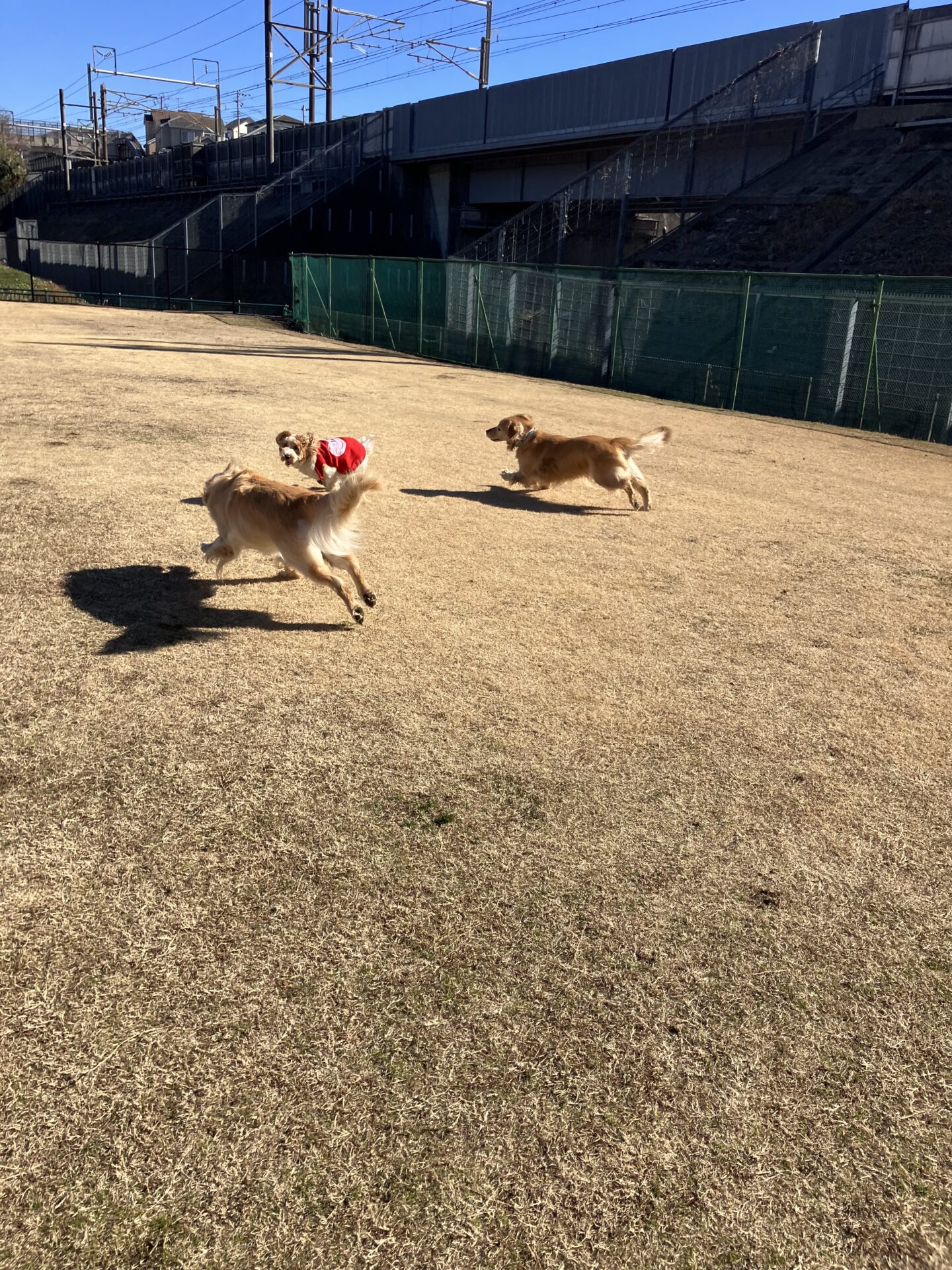 ファイル 8706-2.jpeg