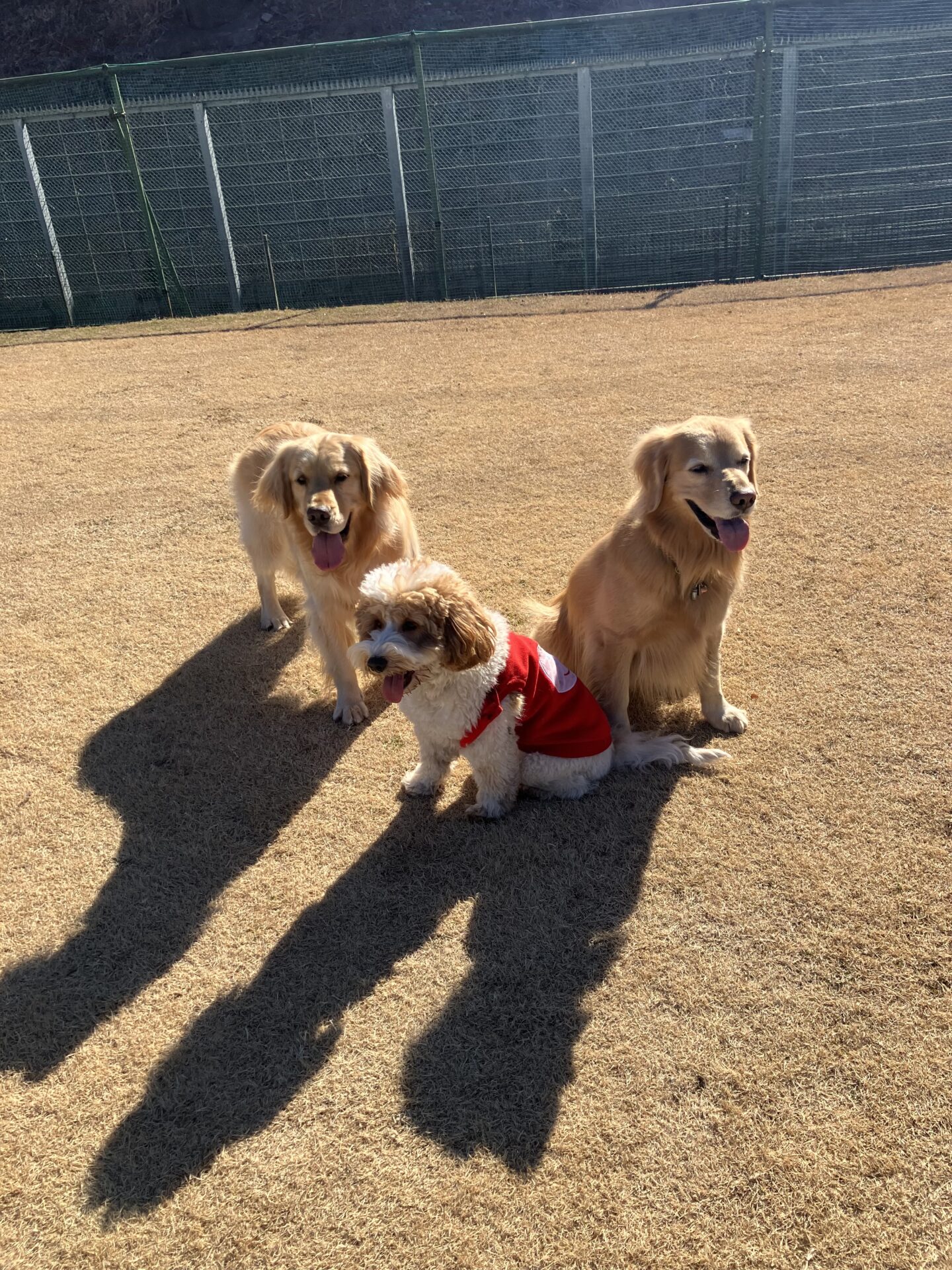 ファイル 8706-4.jpeg