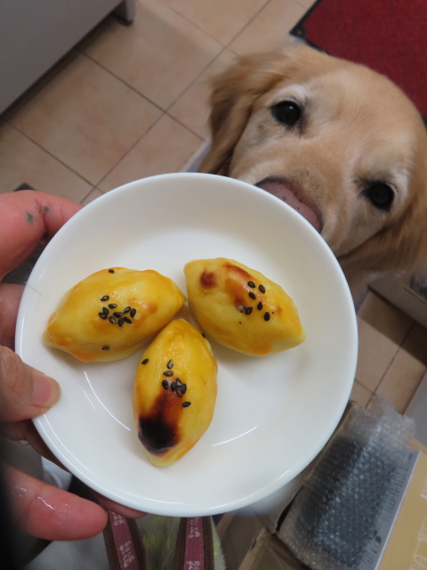 ファイル 8707-5.jpg