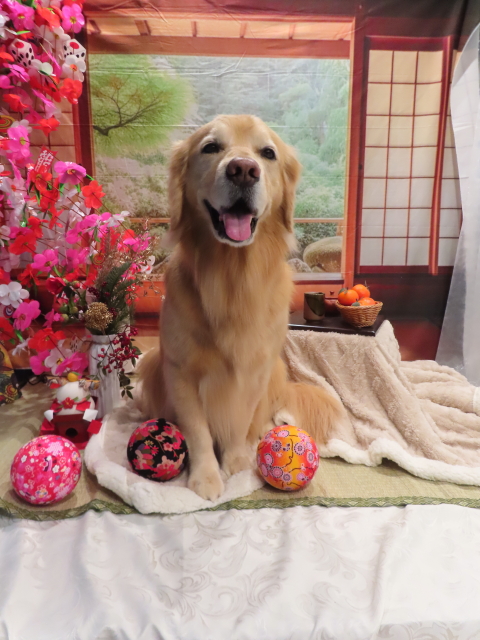 ファイル 8708-2.jpg