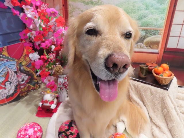 ファイル 8708-3.jpg