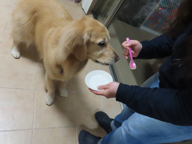 ファイル 8708-5.jpg