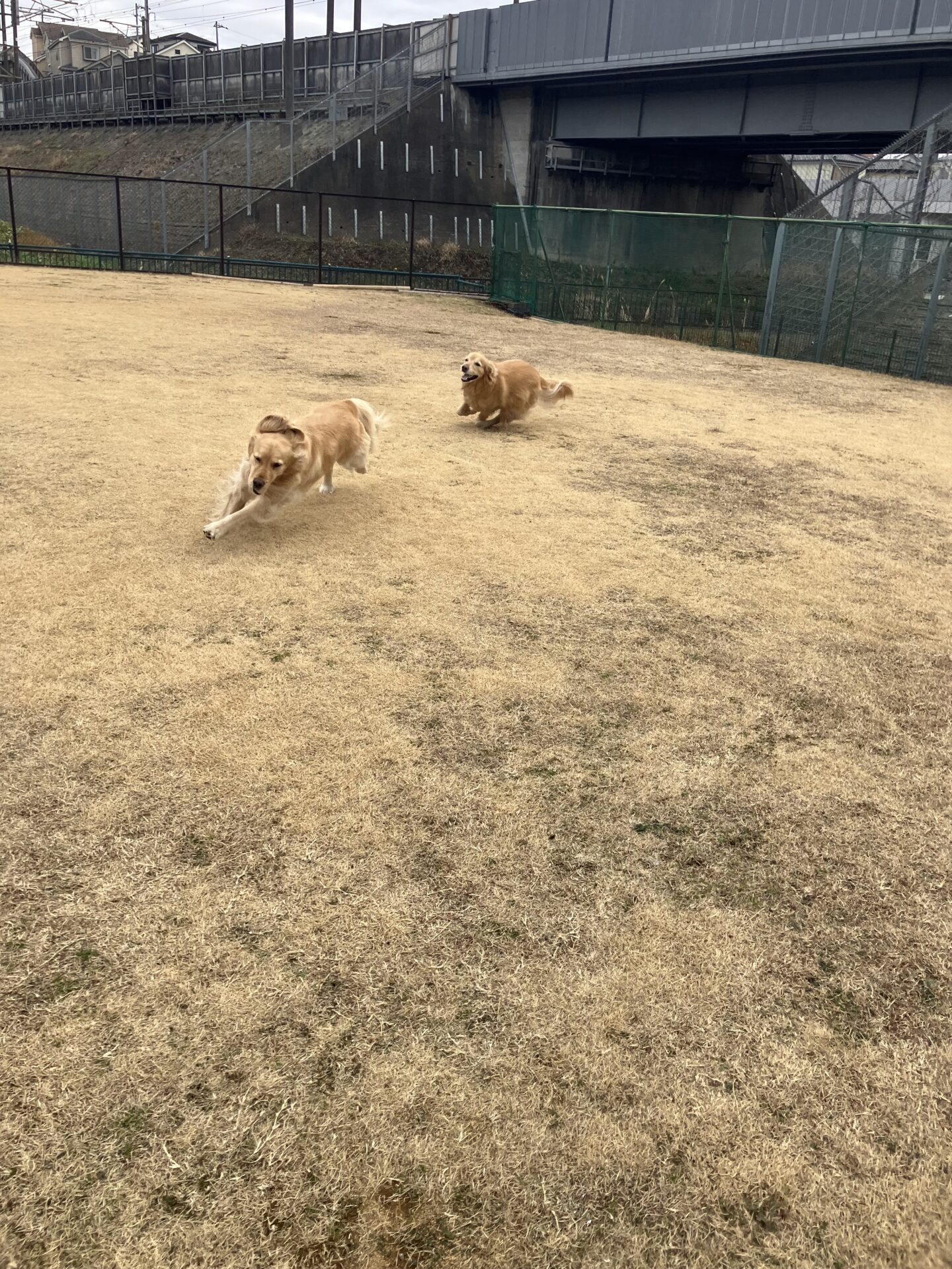 ファイル 8709-1.jpeg