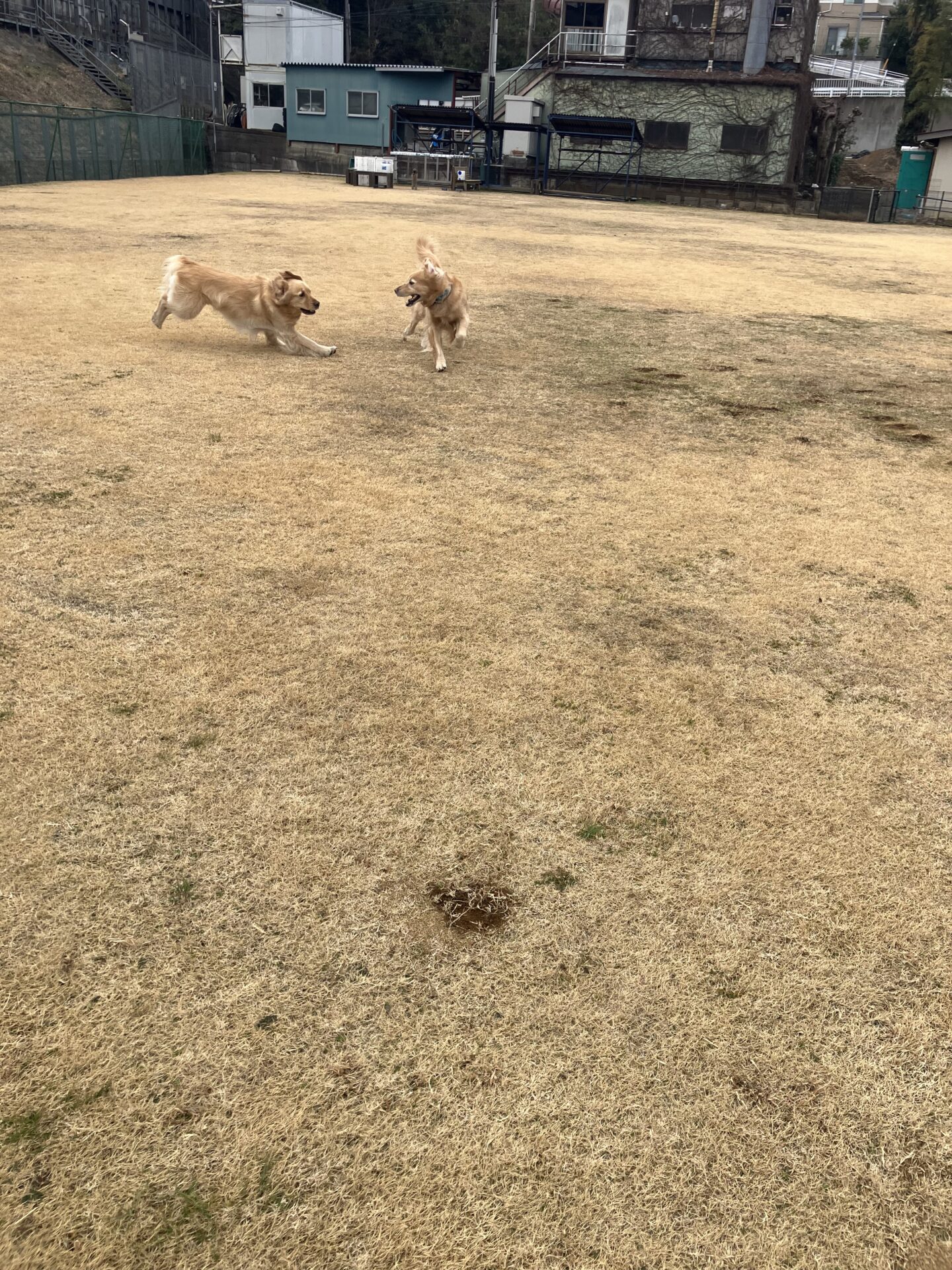 ファイル 8709-2.jpeg