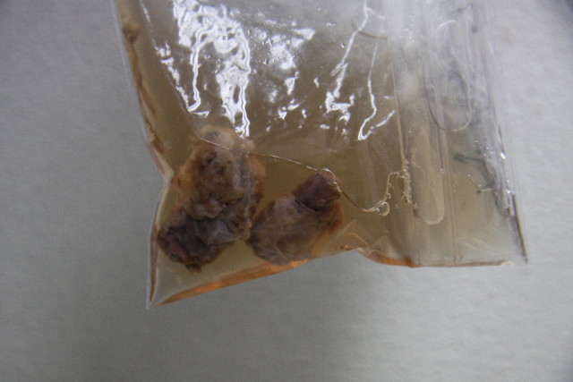 ファイル 871-2.jpg