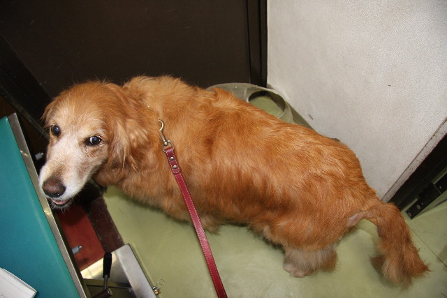 ファイル 871-4.jpg