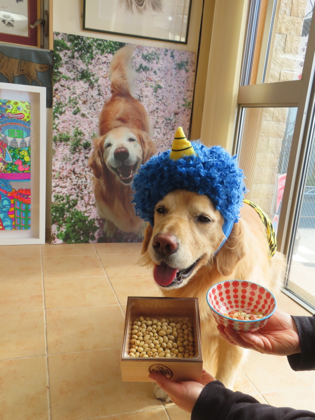 ファイル 8711-1.jpg