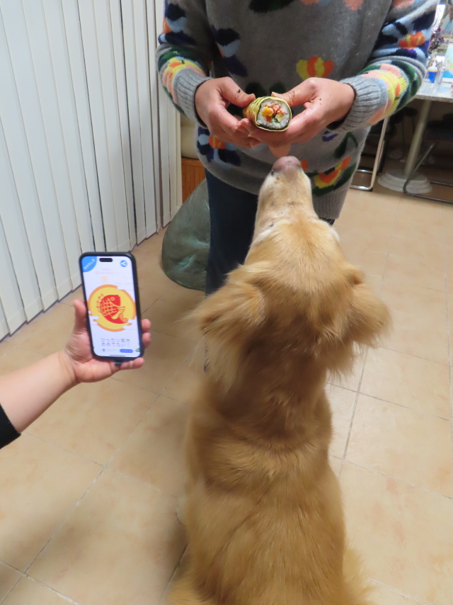 ファイル 8711-3.jpg