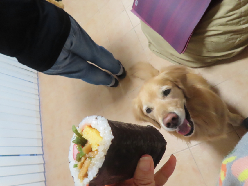 ファイル 8711-5.jpg