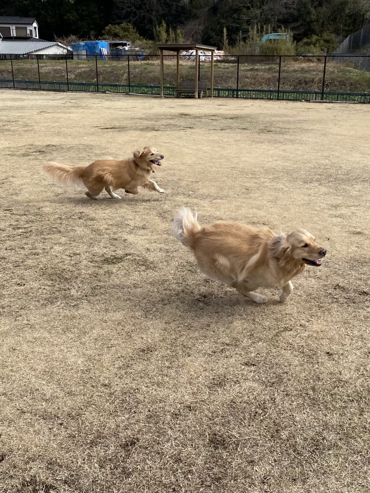 ファイル 8714-2.jpeg