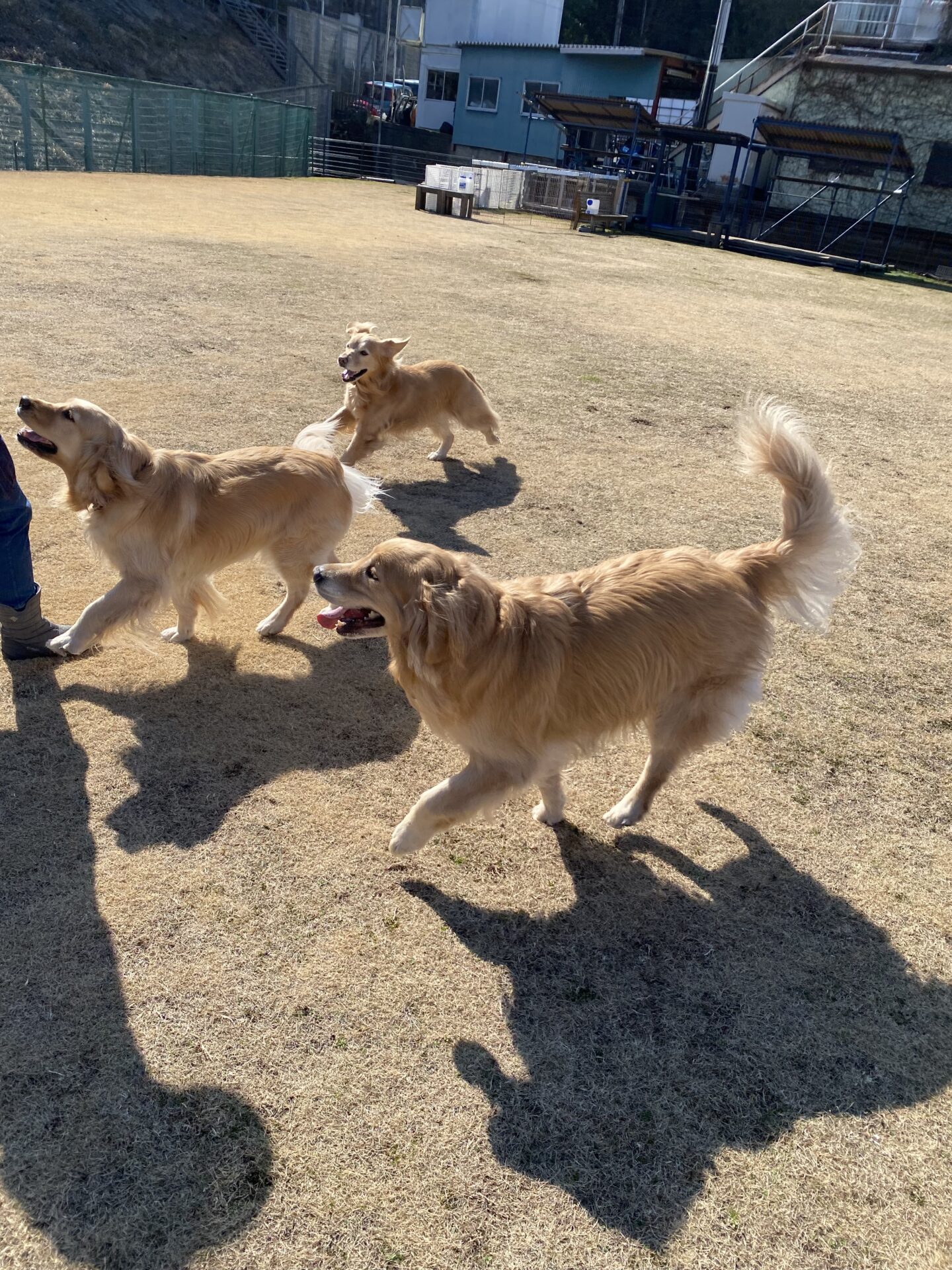 ファイル 8714-3.jpeg