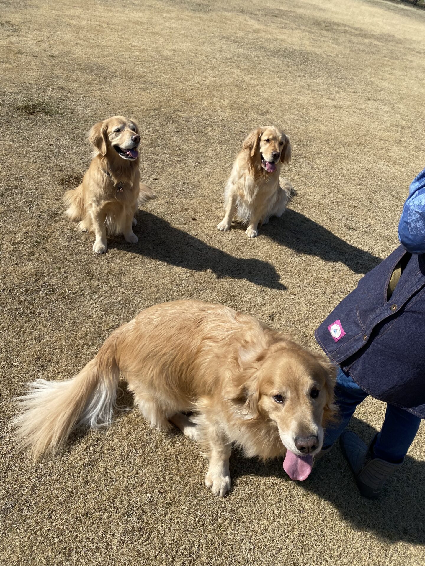 ファイル 8714-5.jpeg