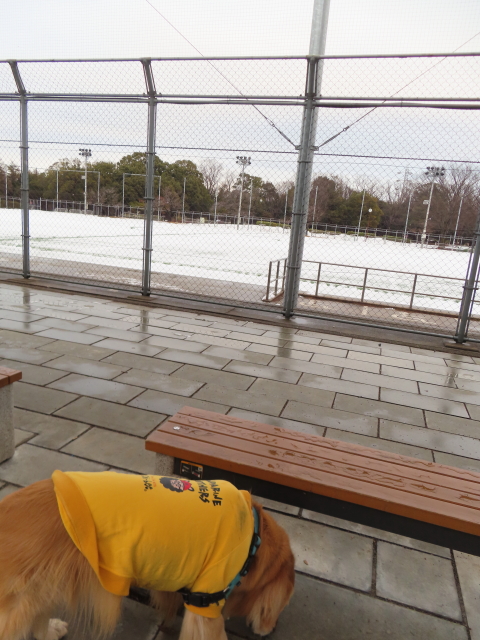 ファイル 8715-3.jpg