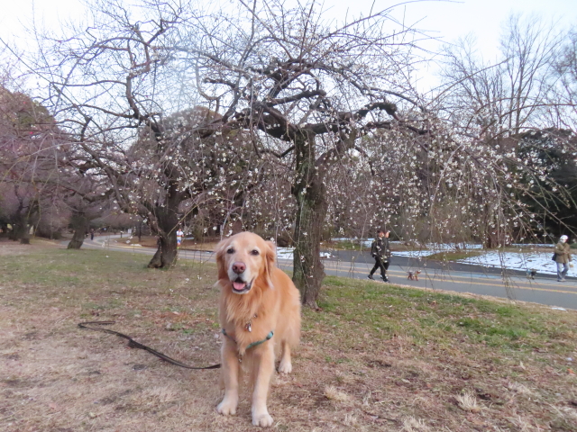 ファイル 8717-4.jpg