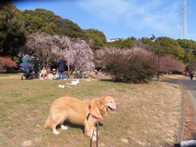 ファイル 8719-1.jpg