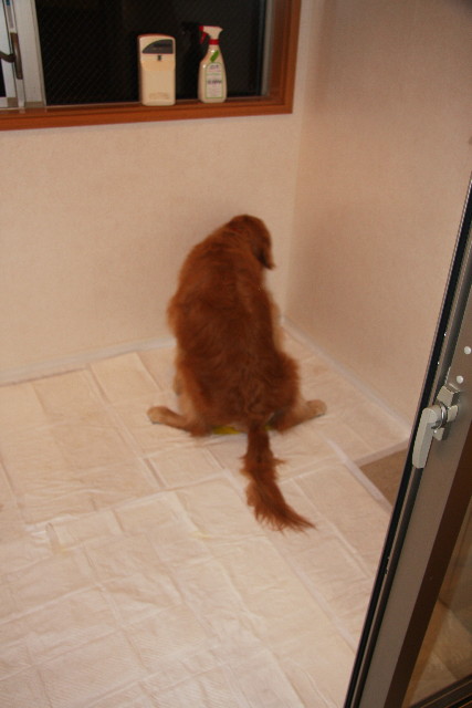 ファイル 872-1.jpg