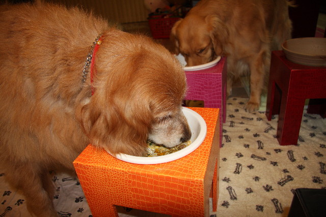 ファイル 872-2.jpg