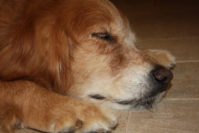 ファイル 872-3.jpg