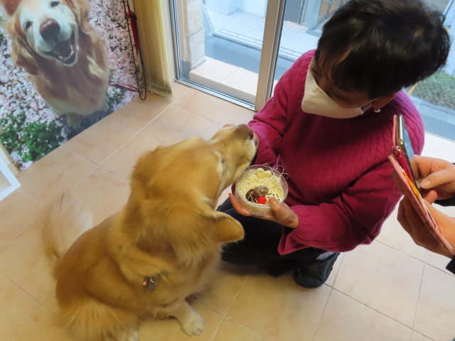 ファイル 8720-4.jpg