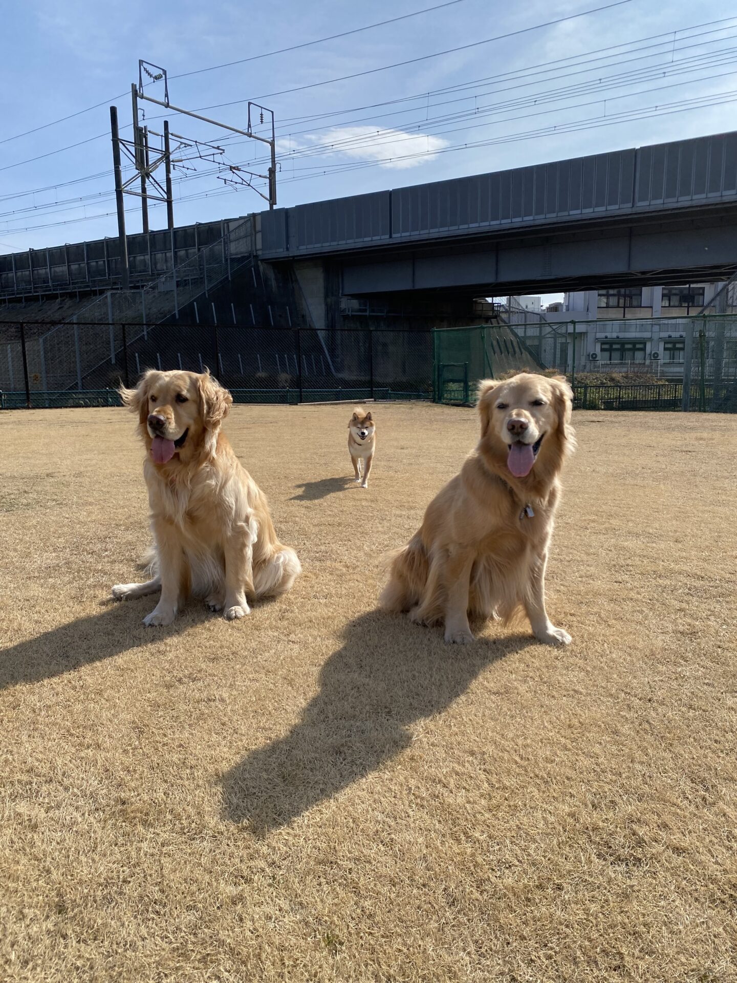 ファイル 8721-1.jpeg