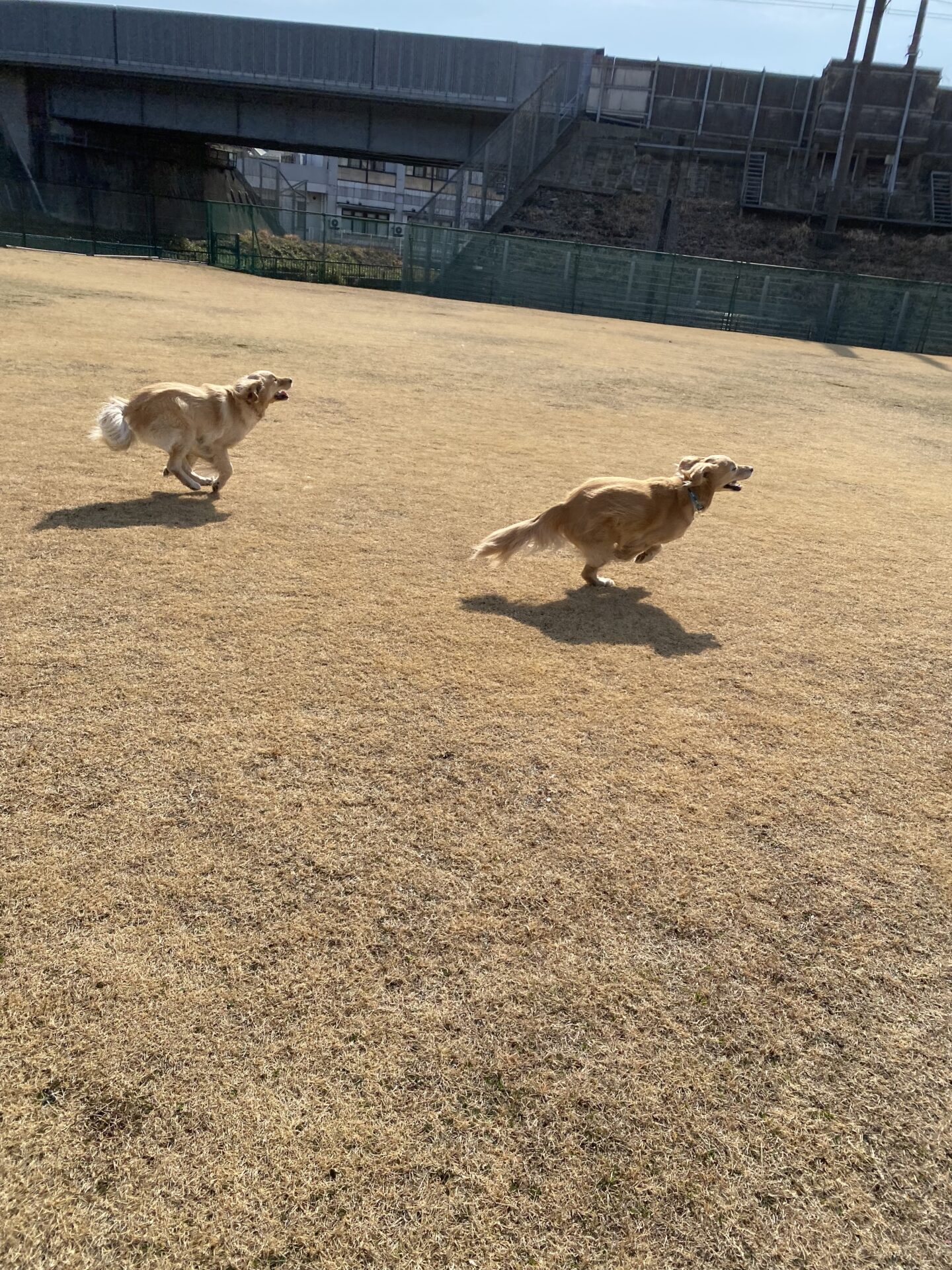 ファイル 8721-4.jpeg