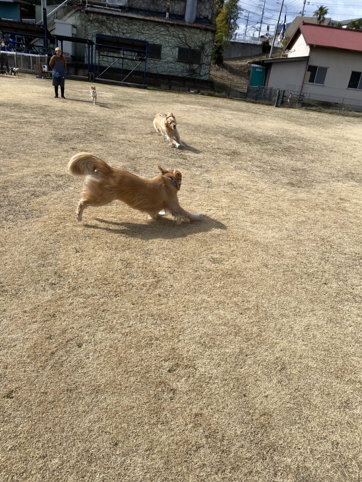 ファイル 8721-5.jpeg