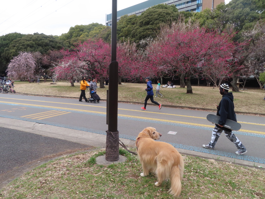 ファイル 8722-3.jpg